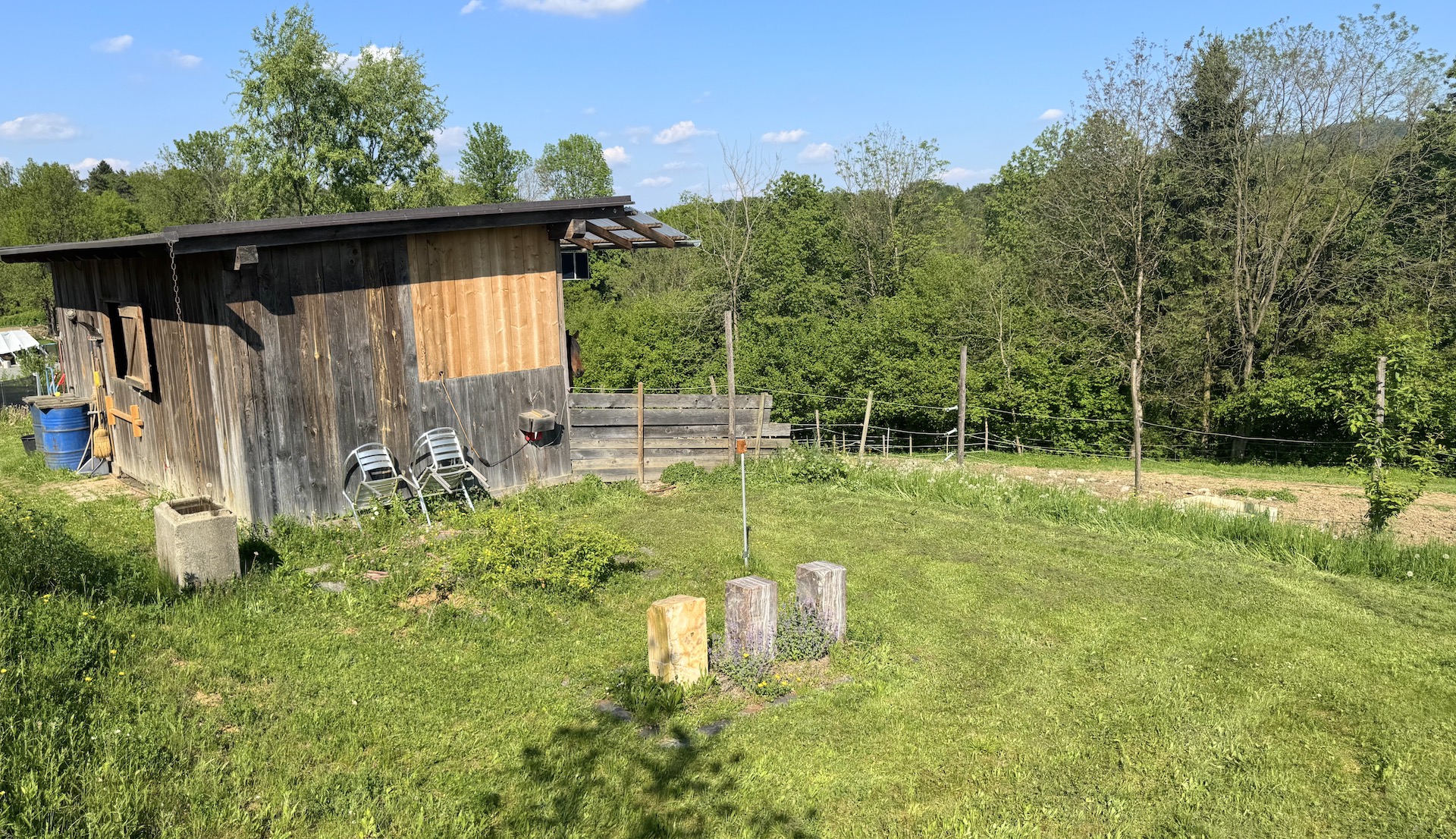 bz-immobilien